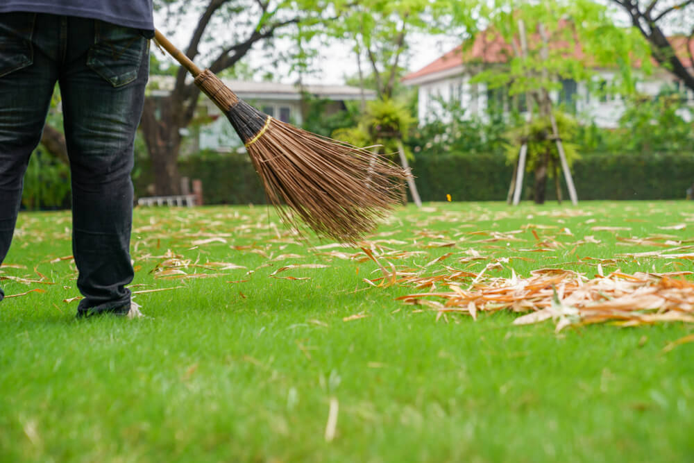 Can I Put Garden Waste in a Skip?